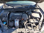 Honda Accord 2013