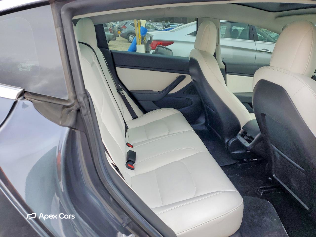 Tesla Model 3 2019
