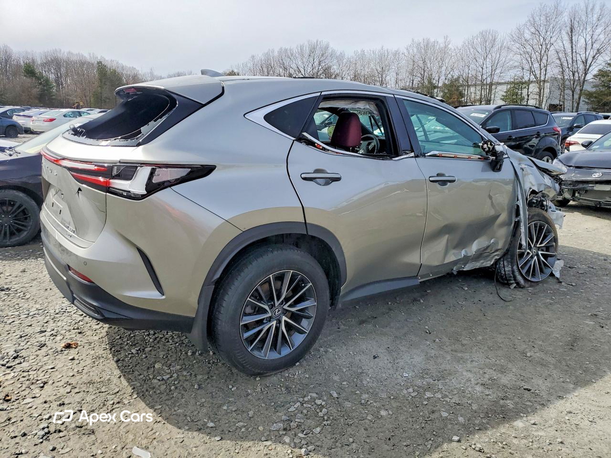 Lexus NX 2024
