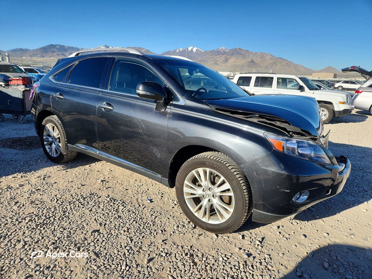 Lexus RX 2010