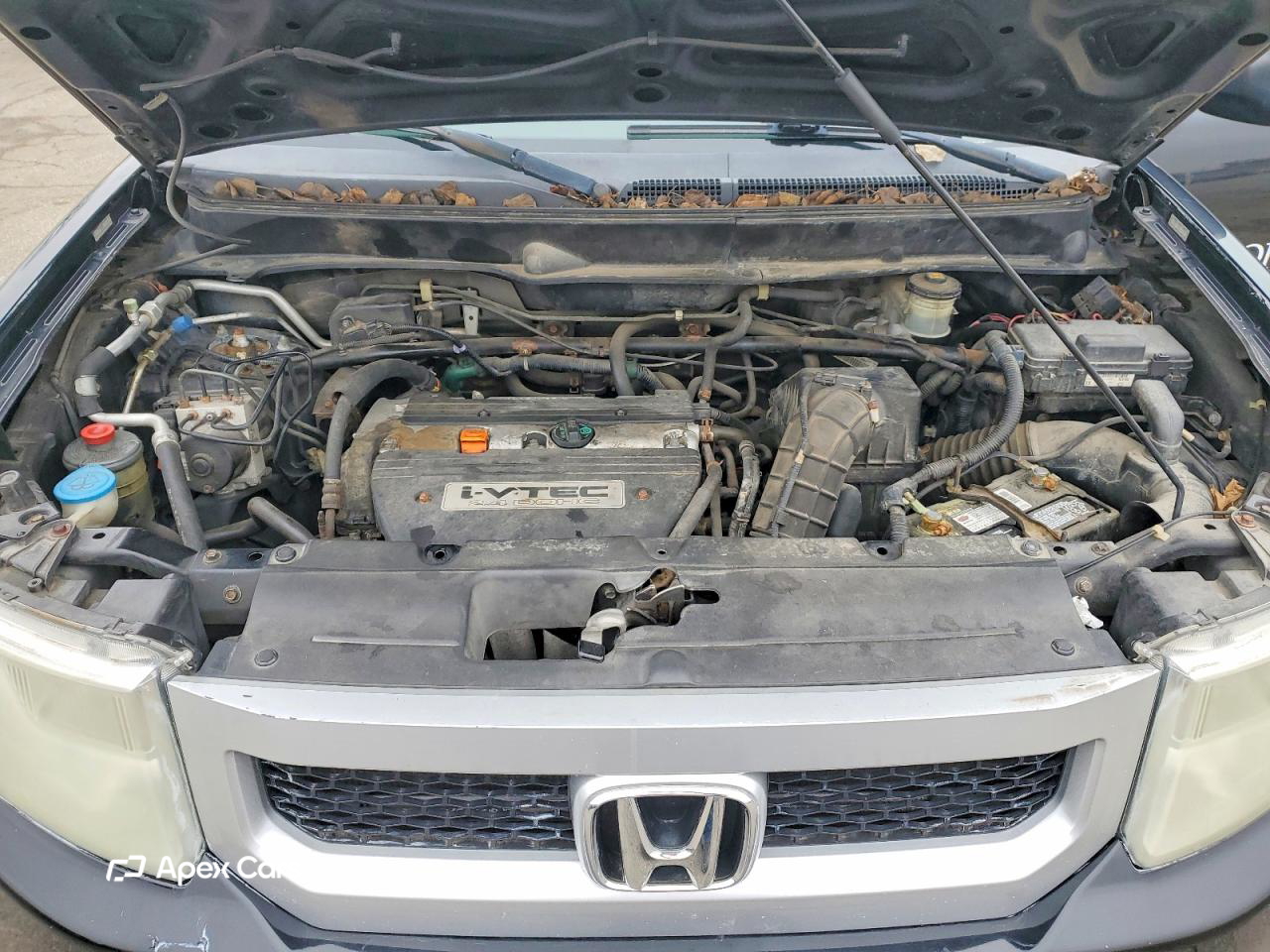 Honda Element 2010