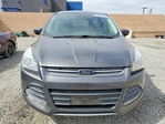 Ford Escape 2016