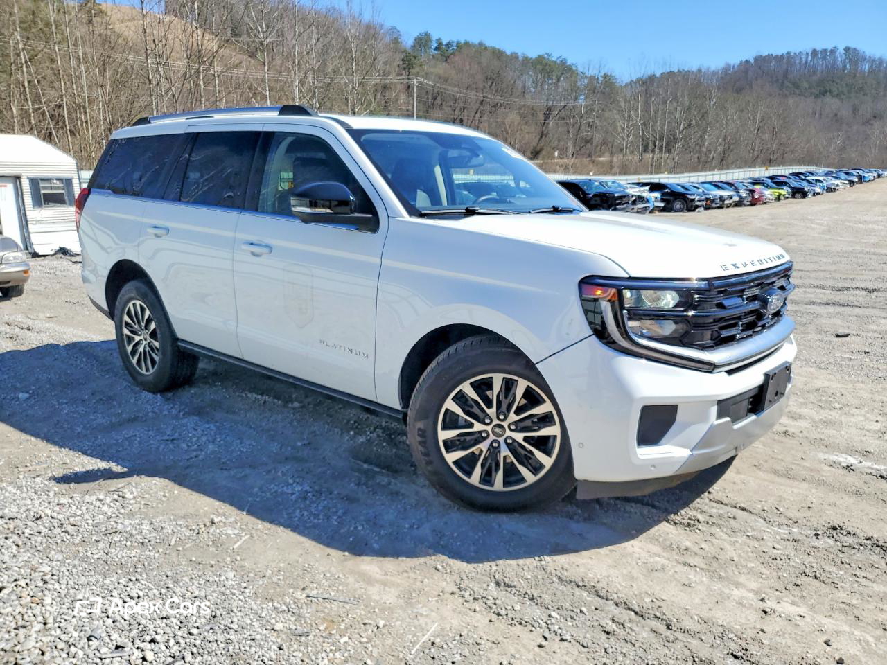 Ford Expedition 2025