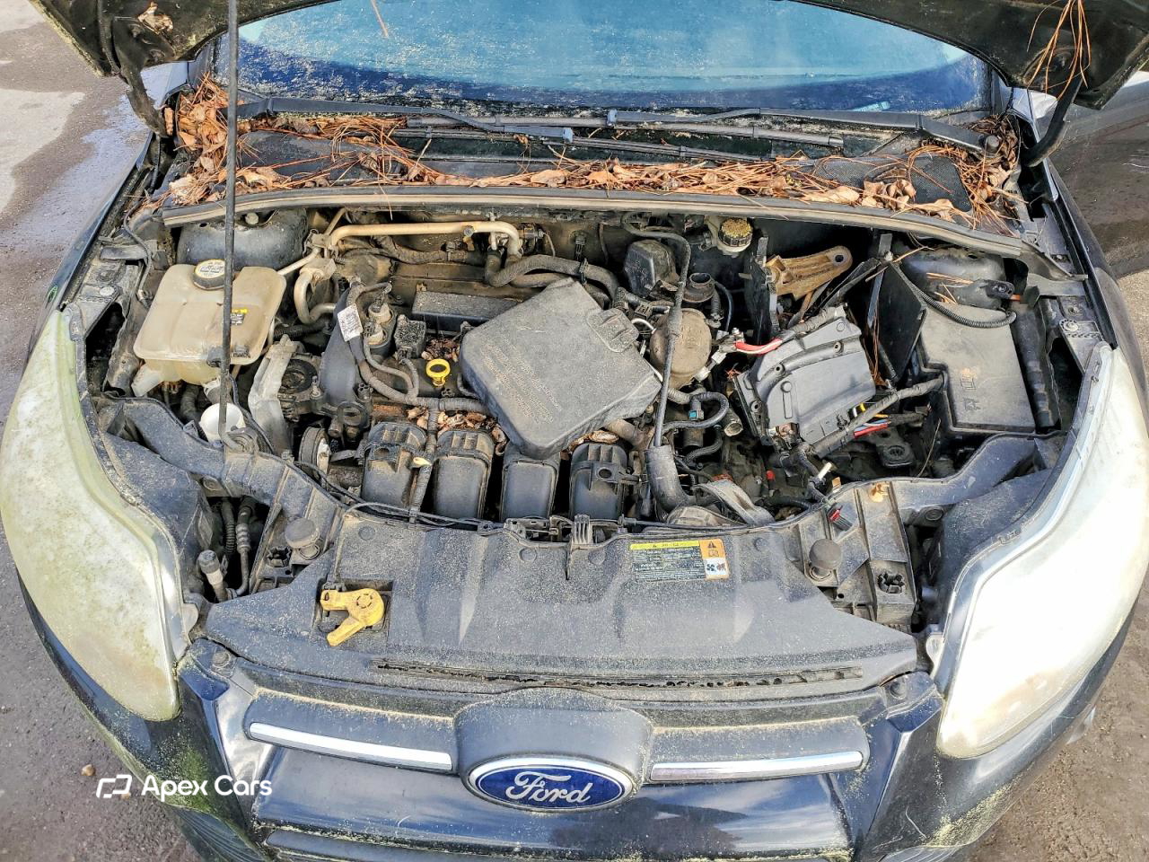 Ford Focus 2012