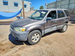 Ford Escape 2006