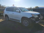 Lexus GX 2010