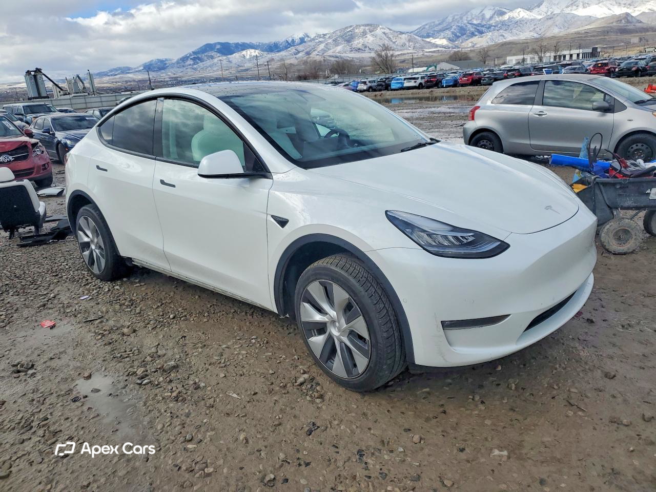 Tesla Model Y 2021