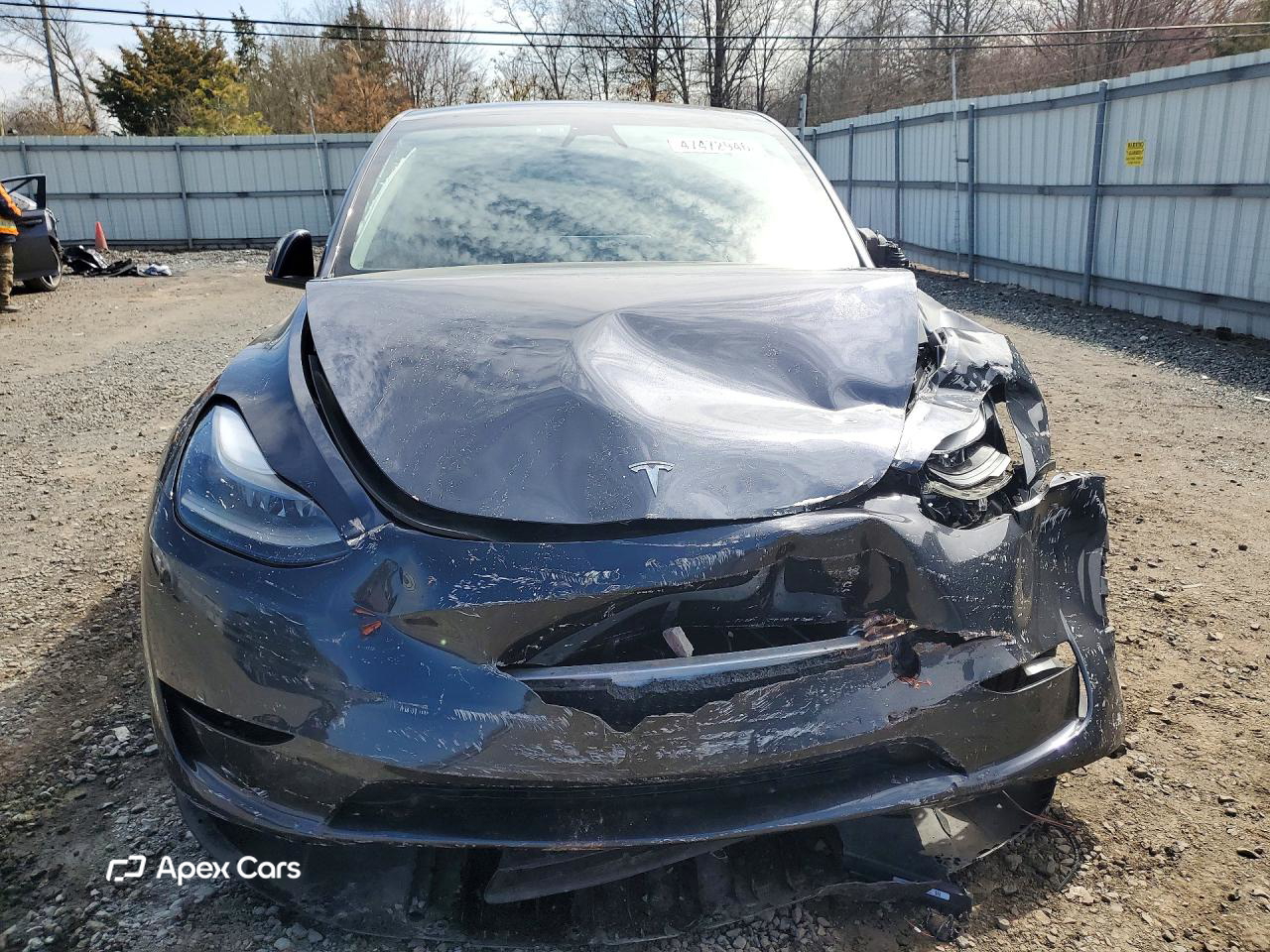 Tesla Model Y 2024