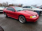 Ford Mustang 1996