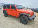 Jeep Wrangler 2019
