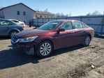 Honda Accord 2013