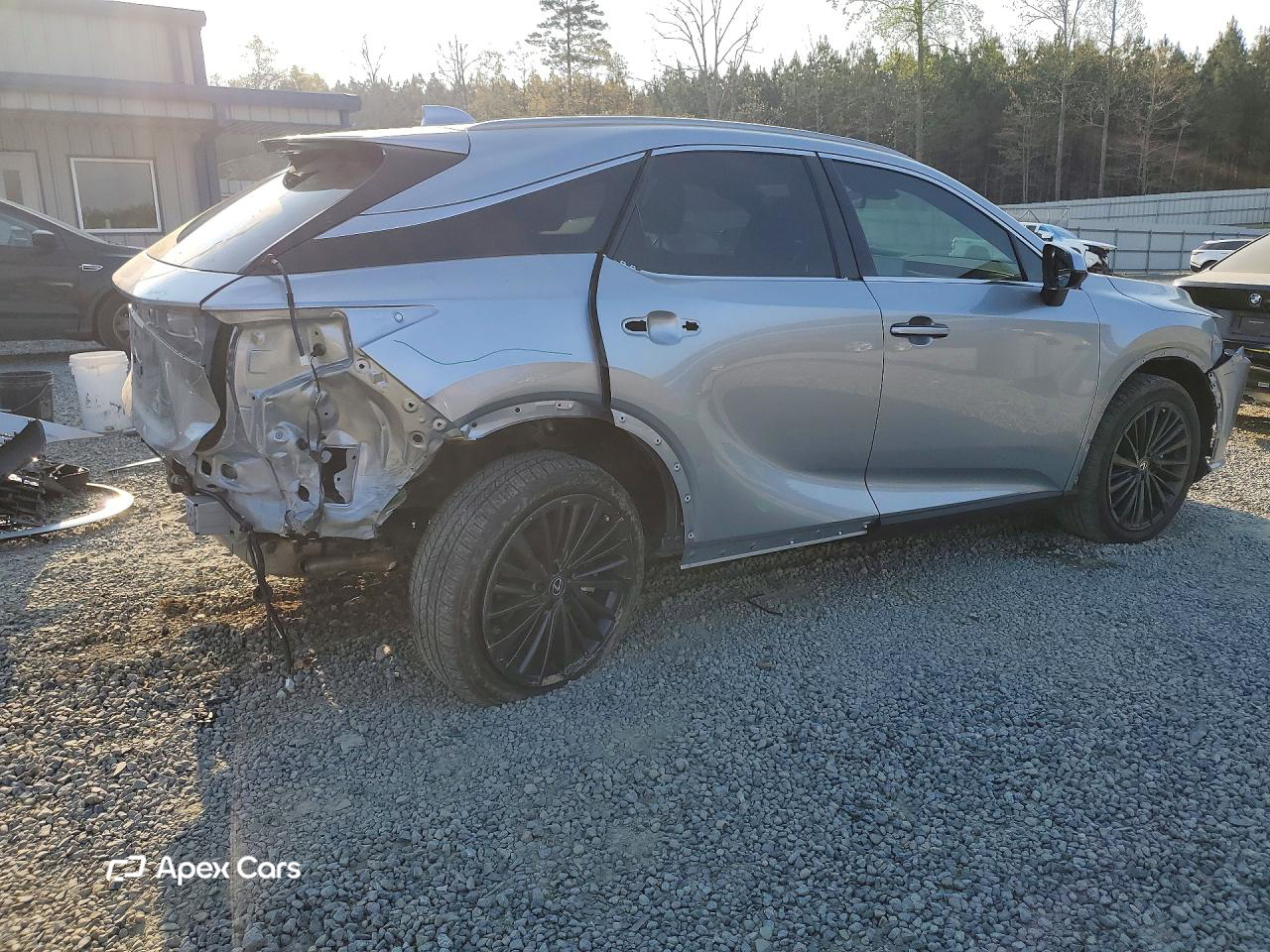 Lexus RX 2024