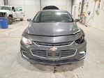 Chevrolet Malibu 2017