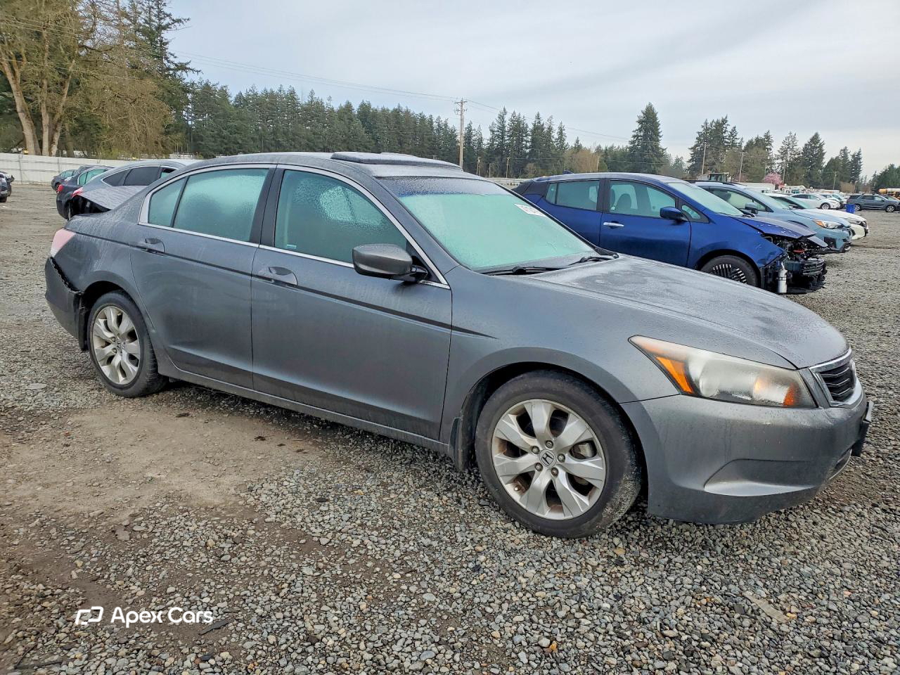 Honda Accord 2010