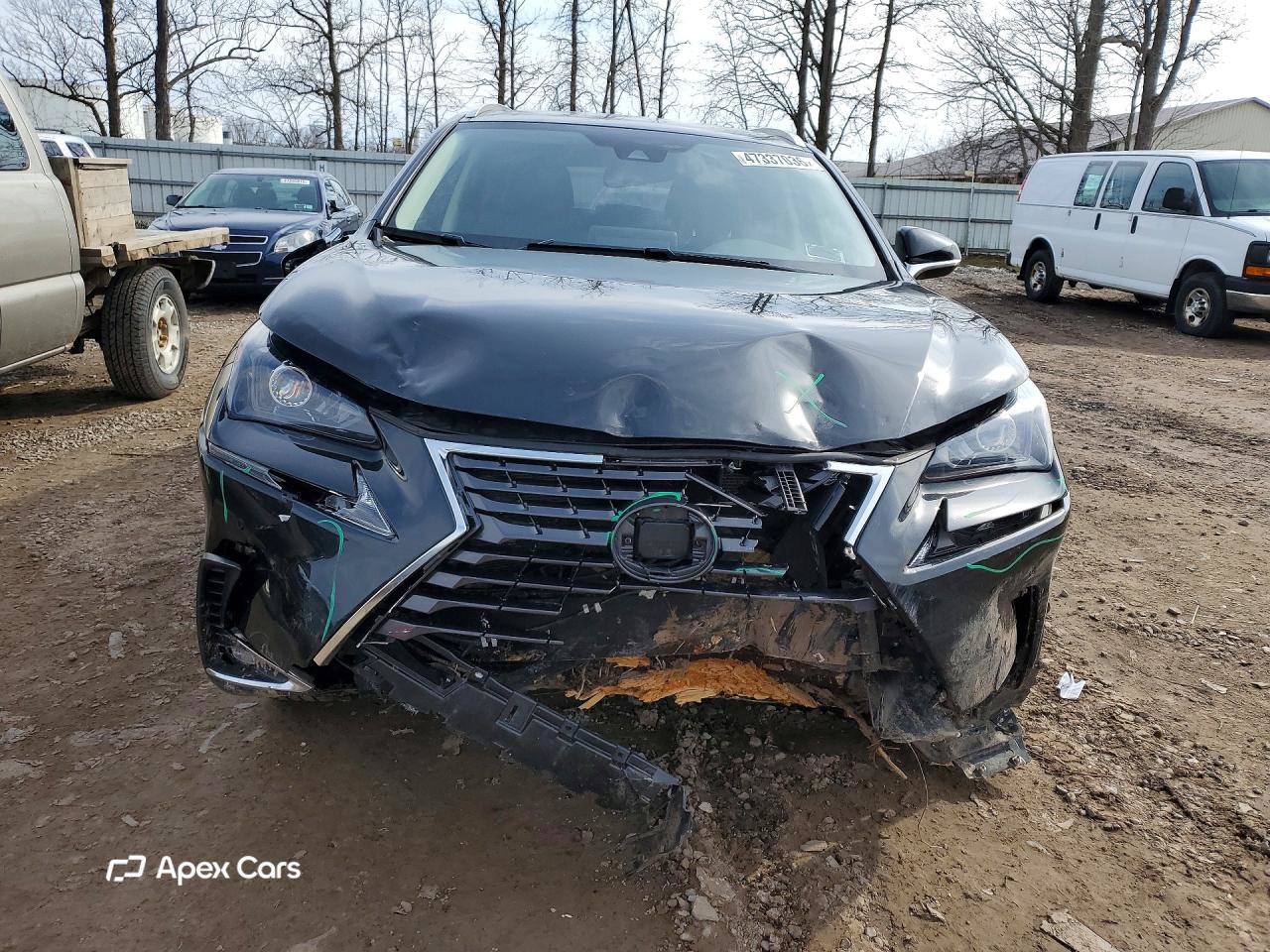 Lexus NX 2021