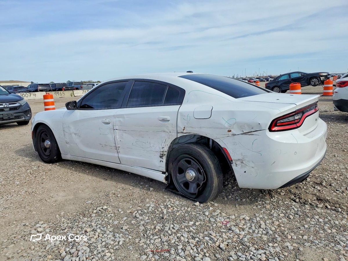 Dodge Charger 2019