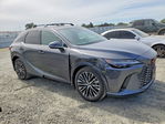 Lexus RX 2024