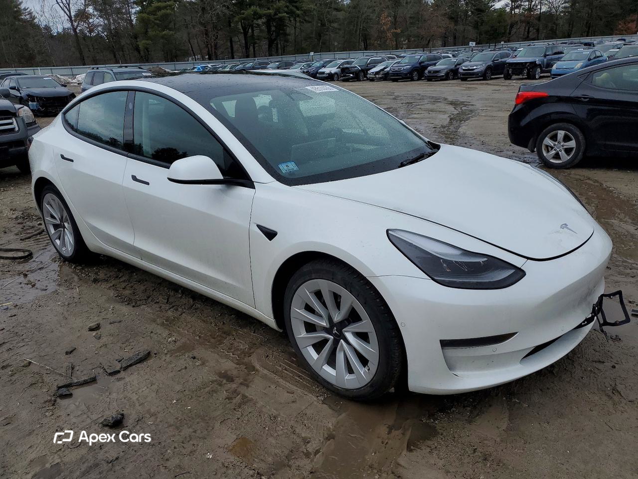 Tesla Model 3 2022