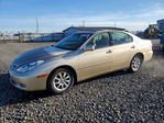 Lexus ES 2002