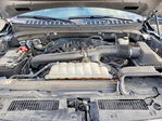Ford Expedition 2024
