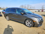 Honda Odyssey 2020