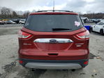 Ford Escape 2014
