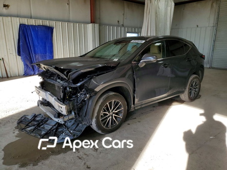 Lexus NX 2024 - Zdjęcie 1 z 14