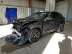 Lexus NX 2024