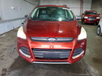 Ford Escape 2014