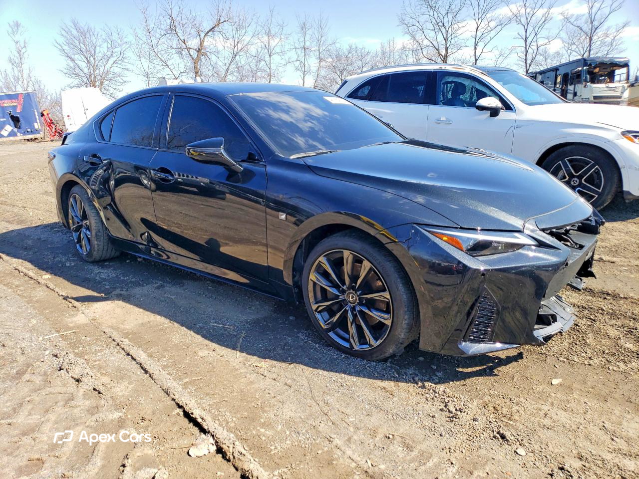 Lexus IS 2025