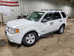 Ford Escape 2011