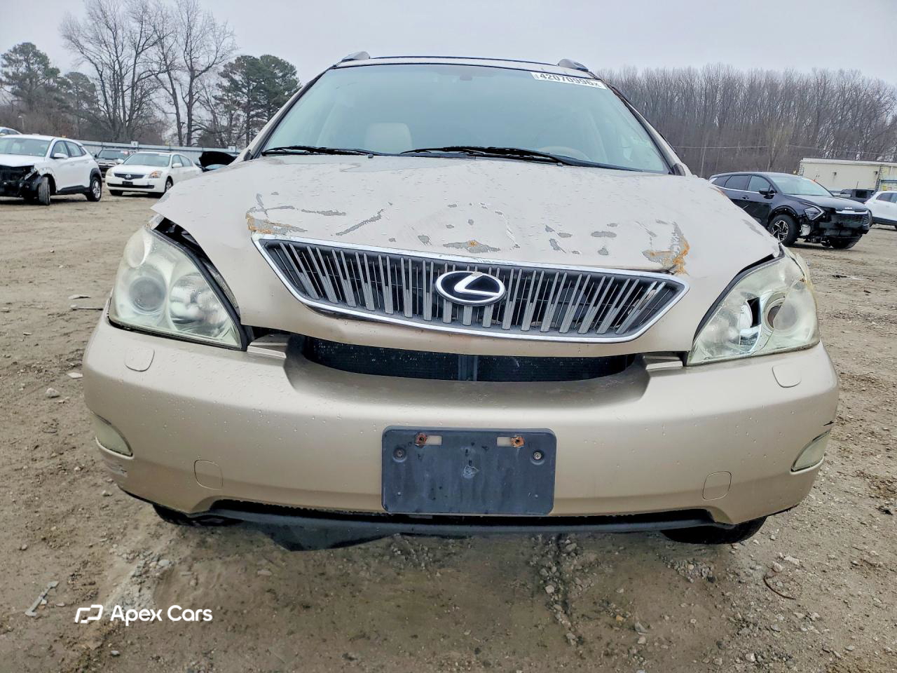 Lexus RX 2006