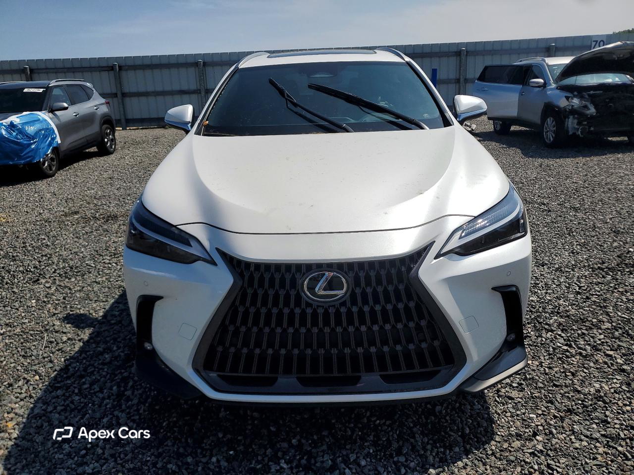 Lexus NX 2024