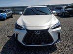 Lexus NX 2024