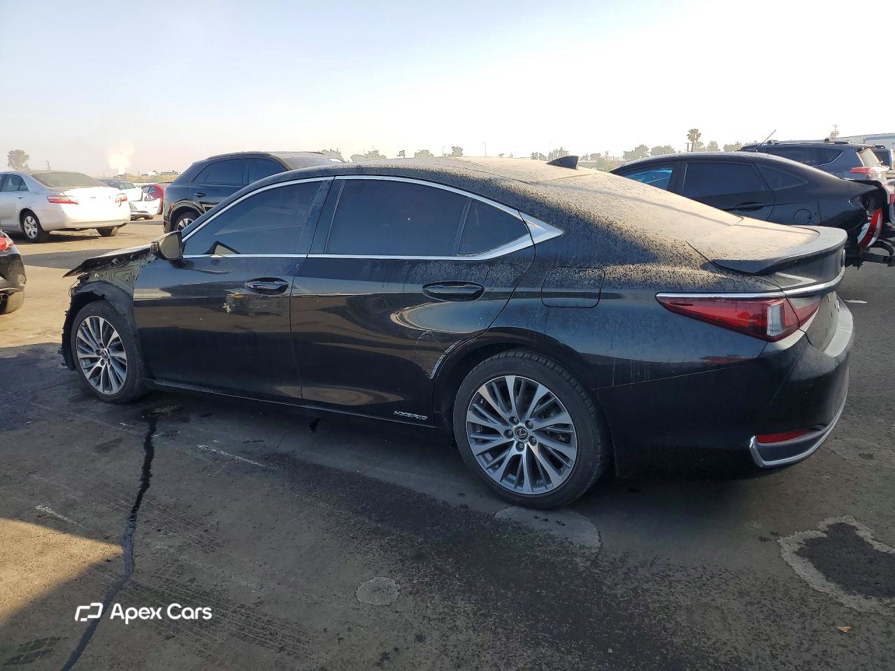 Lexus ES 2020