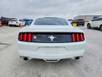 Ford Mustang 2016