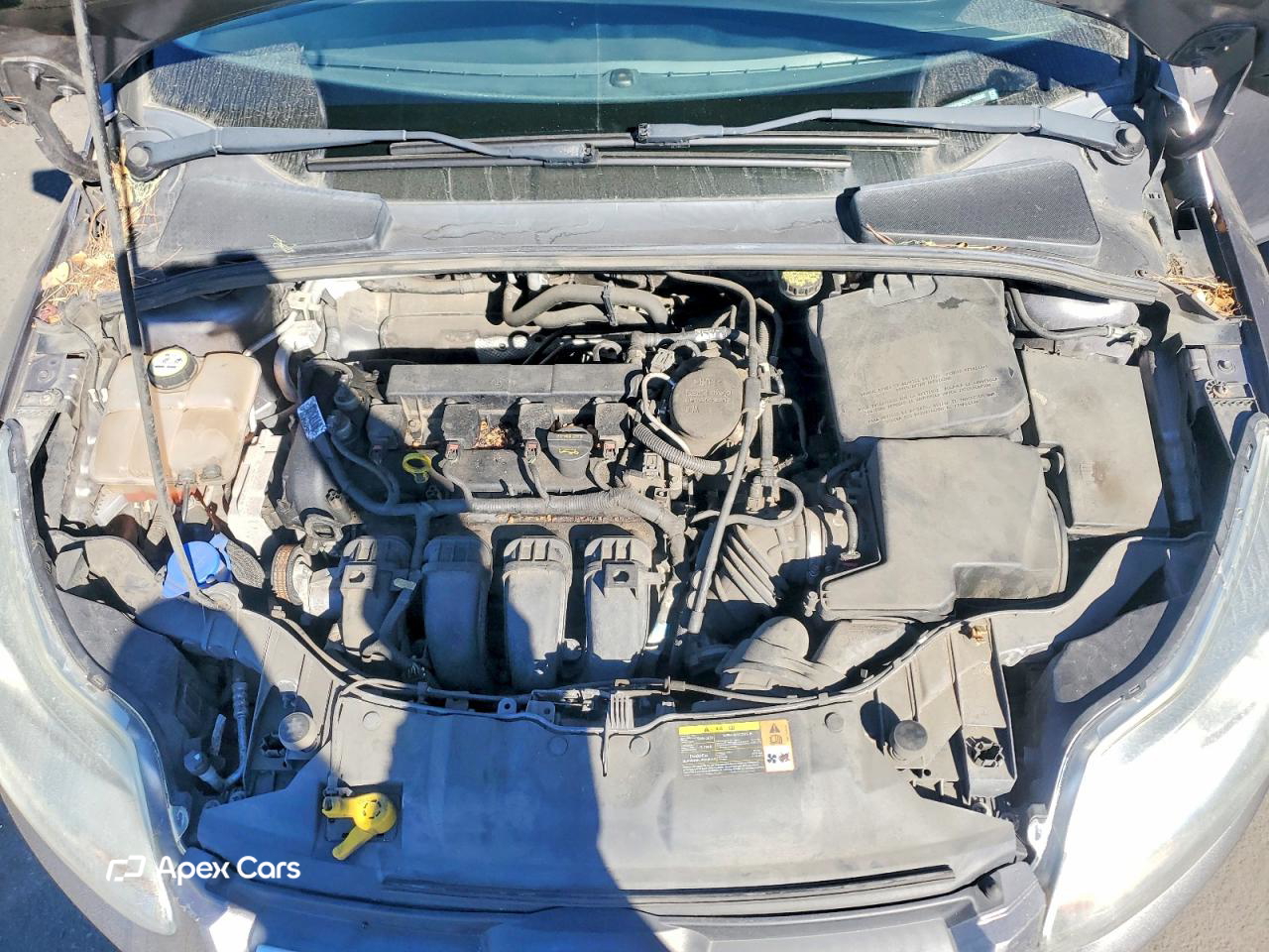 Ford Focus 2013
