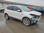 Ford Escape 2016
