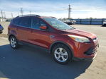 Ford Escape 2014