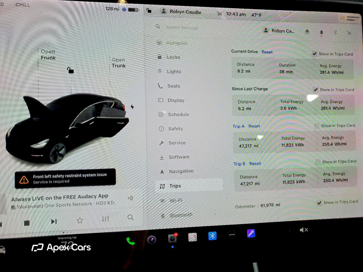 Tesla Model 3 2020
