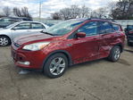 Ford Escape 2014