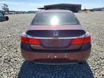 Honda Accord 2013