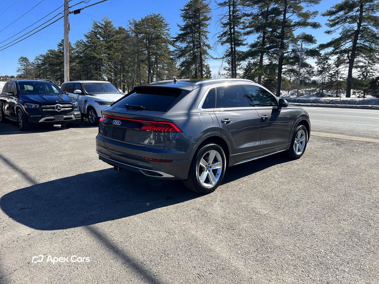 Audi Q8 2019