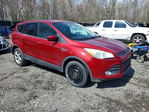 Ford Escape 2014