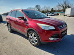 Ford Escape 2014