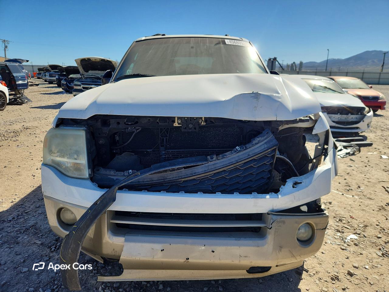 Ford Expedition 2007