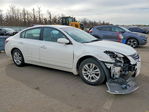 Altima 2011