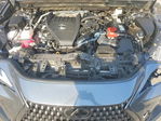 Lexus NX 2024
