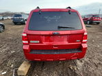 Ford Escape 2011