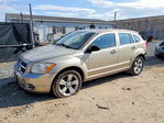 Dodge Caliber 2010